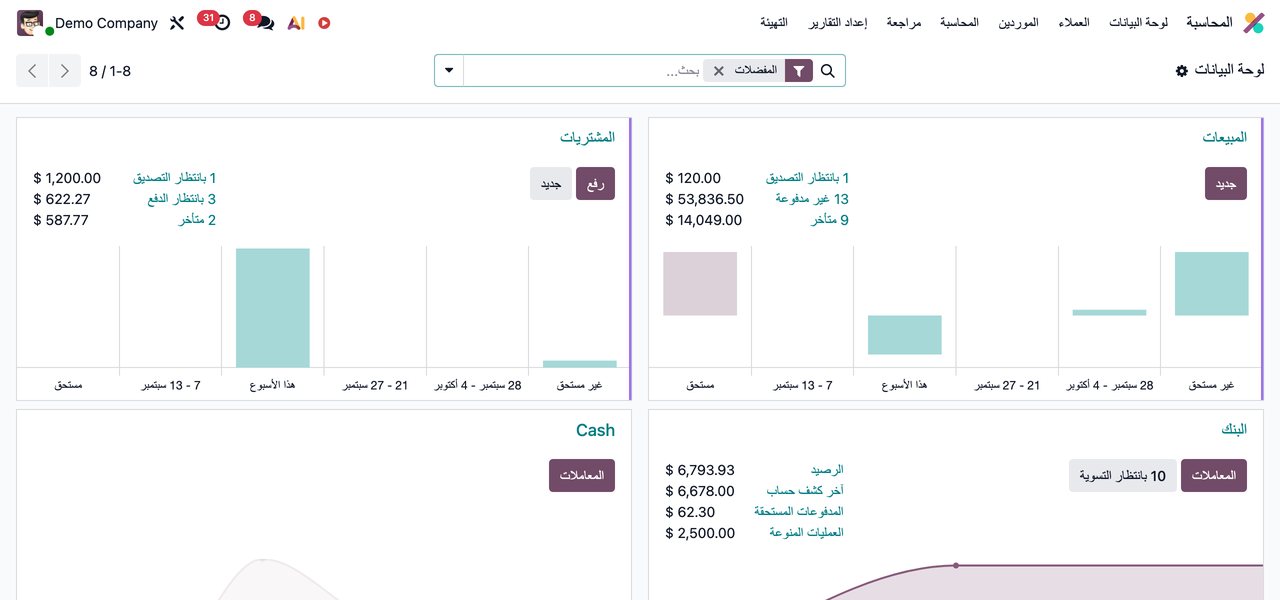المحاسبة: لوحة البيانات